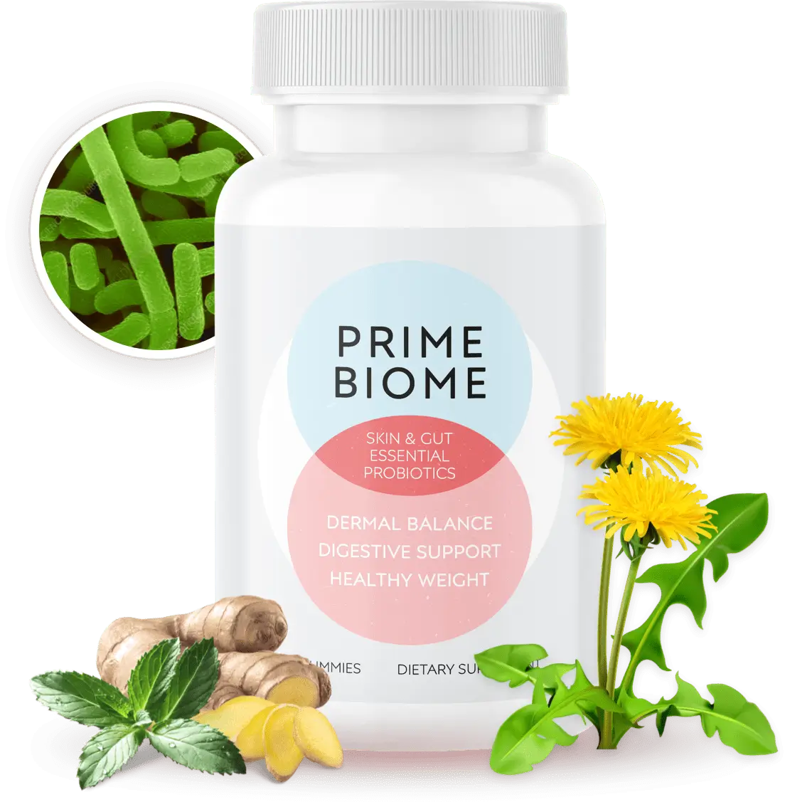 PrimeBiome probiotic supplement bottle with natural ingredients including ginger, mint, and dandelion, shown alongside microscopic probiotic bacteria.